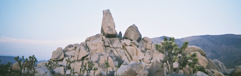 Stacks Image 169