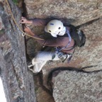 boulder2.jpg
