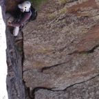 boulder4.jpg